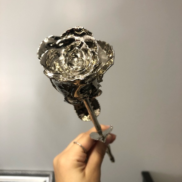 The eternity rose. - Picture 1 of 4